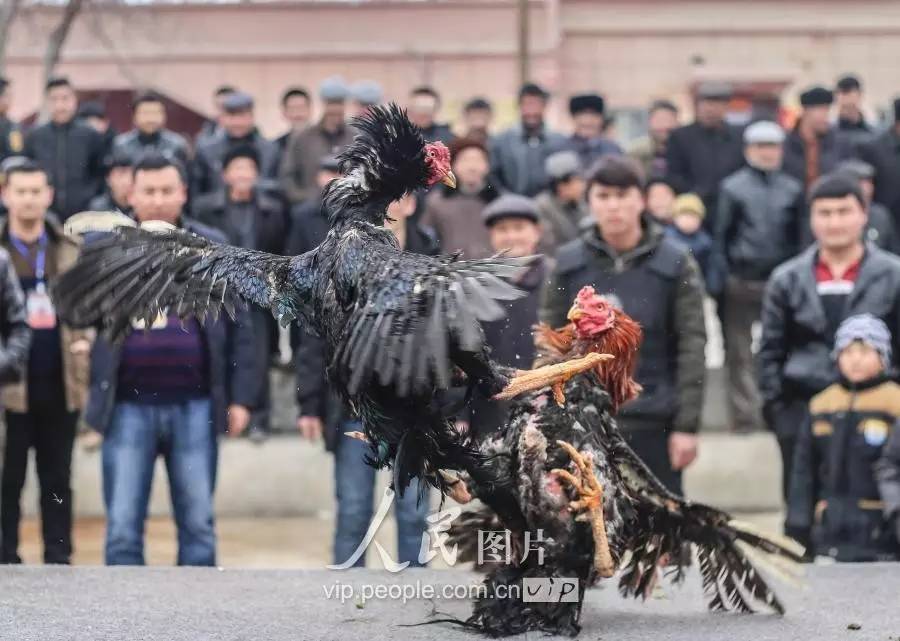 家人欢庆诺鲁孜节喜迎春天到来