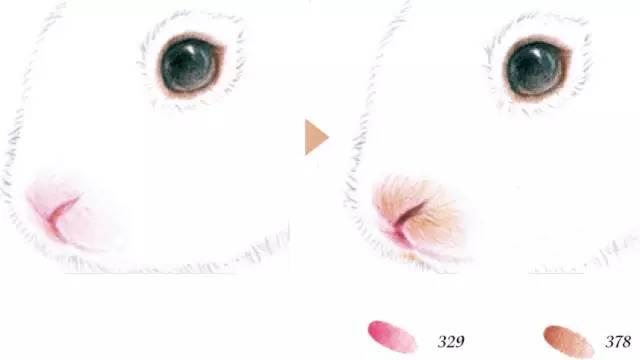 step1:先用399黑色绘制兔子眼睛,再用376褐色丰富眼珠颜色,增加透亮感