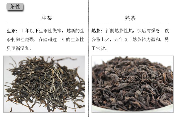 【图说】普洱茶生茶和熟茶的区别