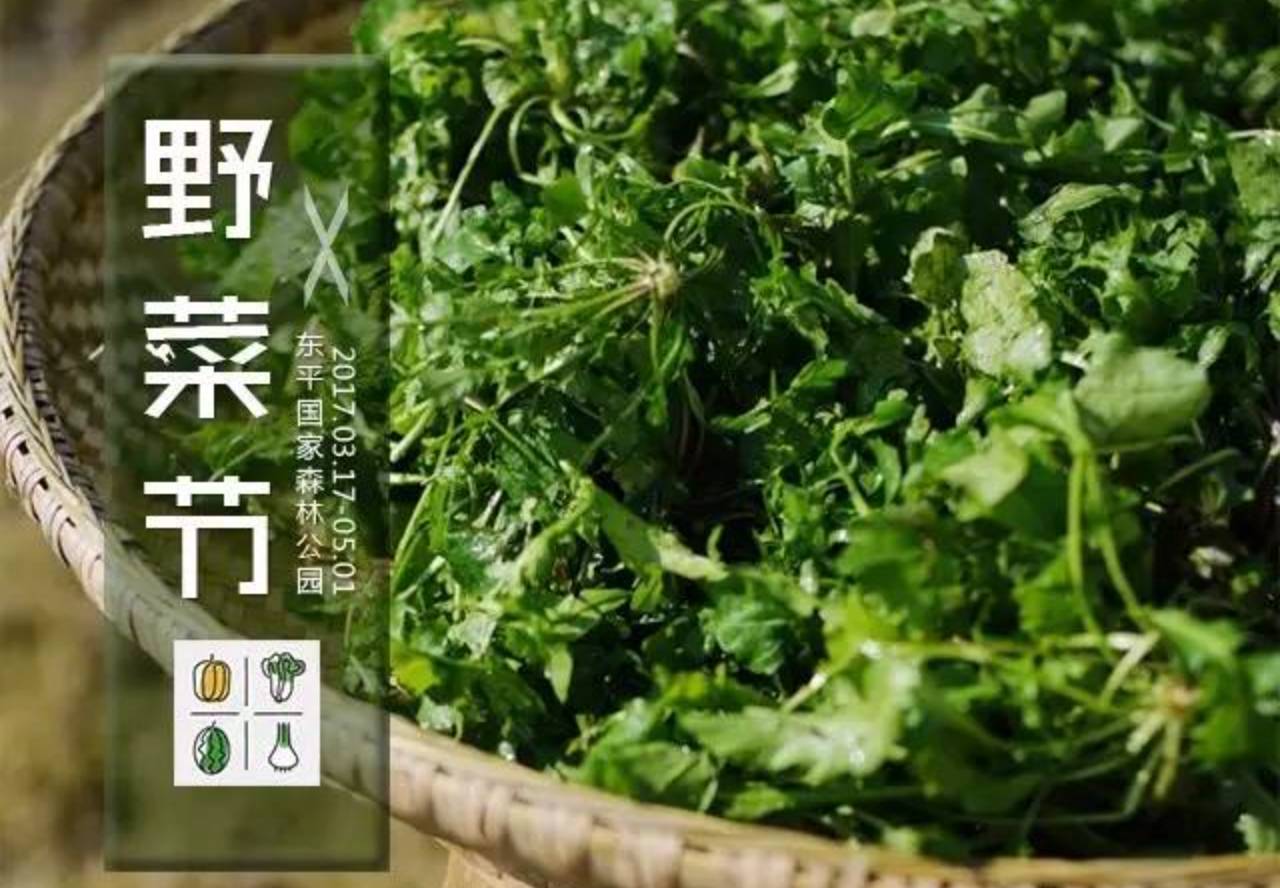 福利遛娃赏春畅玩崇明东平森林公园野菜节10套亲子票送不停