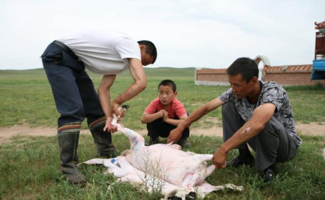 妇女杀羊下刀图片