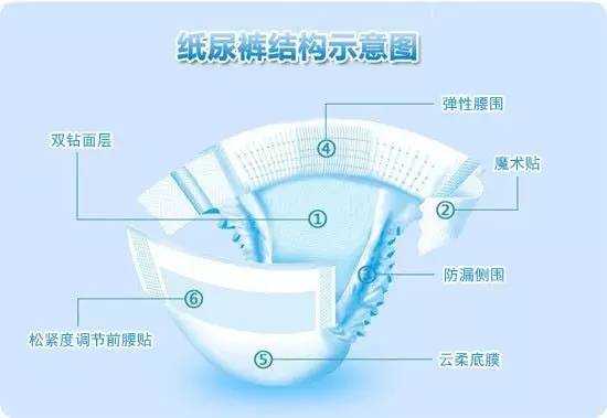 尿不湿结构图解图片