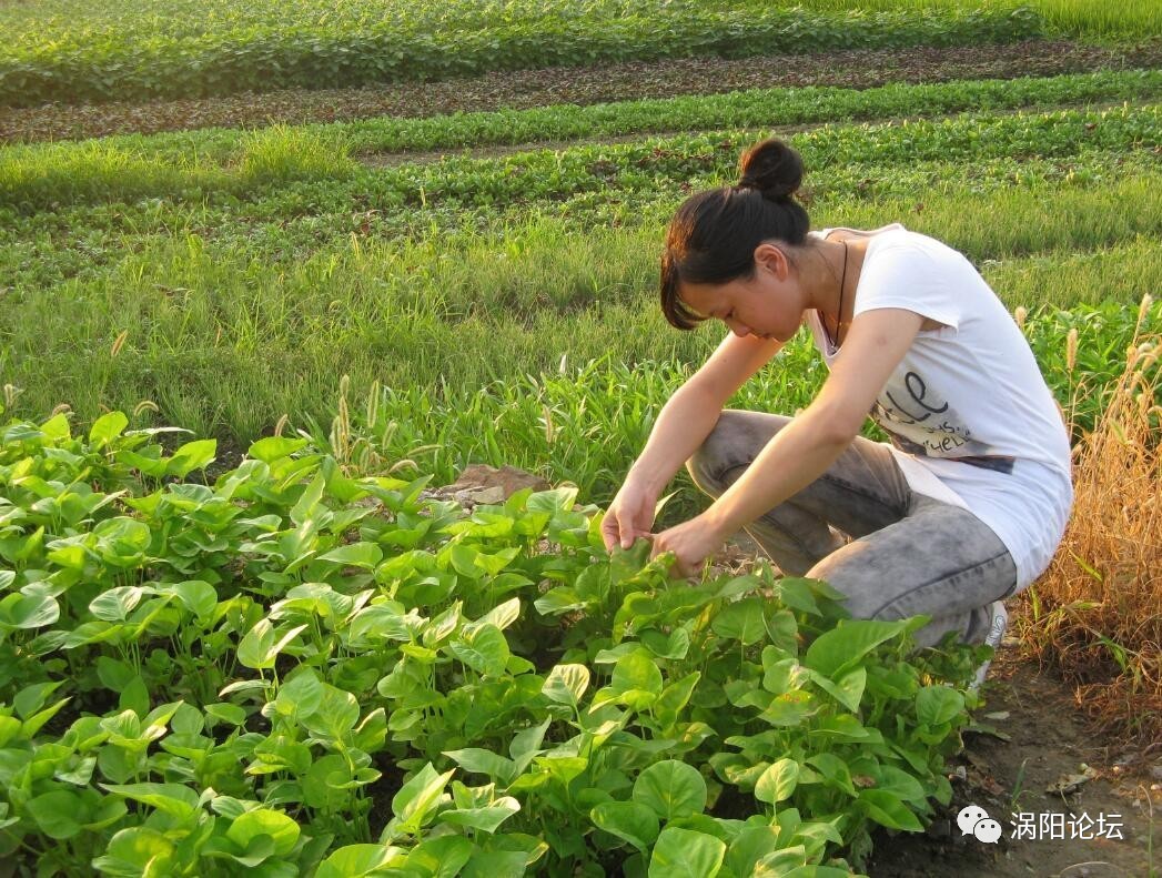 涡阳妹子图片