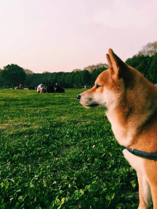 汇青春邑大单身贵族的心路历程