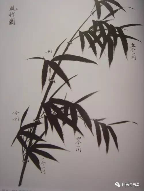 竹子的画法竹干图片