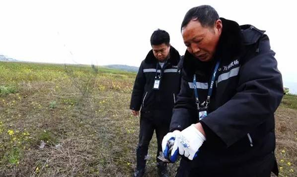 蒋基荣他们每天巡查工作的一个重点,随着天气回暖,在机场跑道附近的