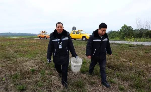 蒋基荣他们每天巡查工作的一个重点,随着天气回暖,在机场跑道附近的