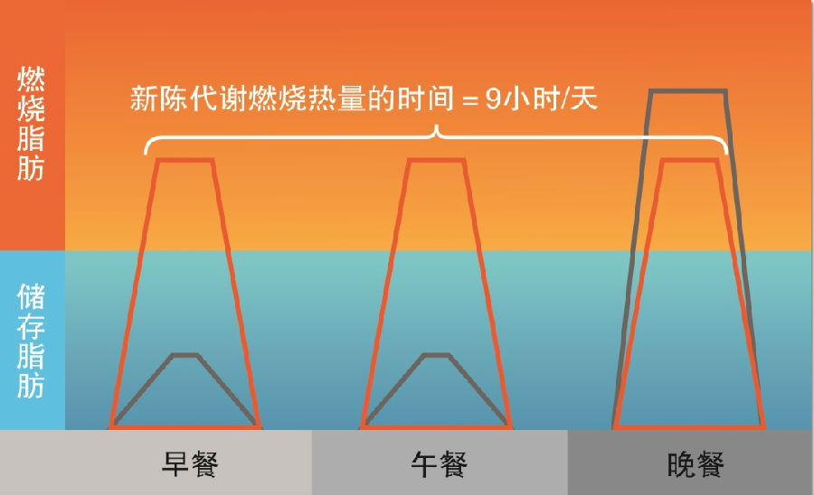 怎样能健康减肥_减肥能健康吗_减肥健康又快的方法