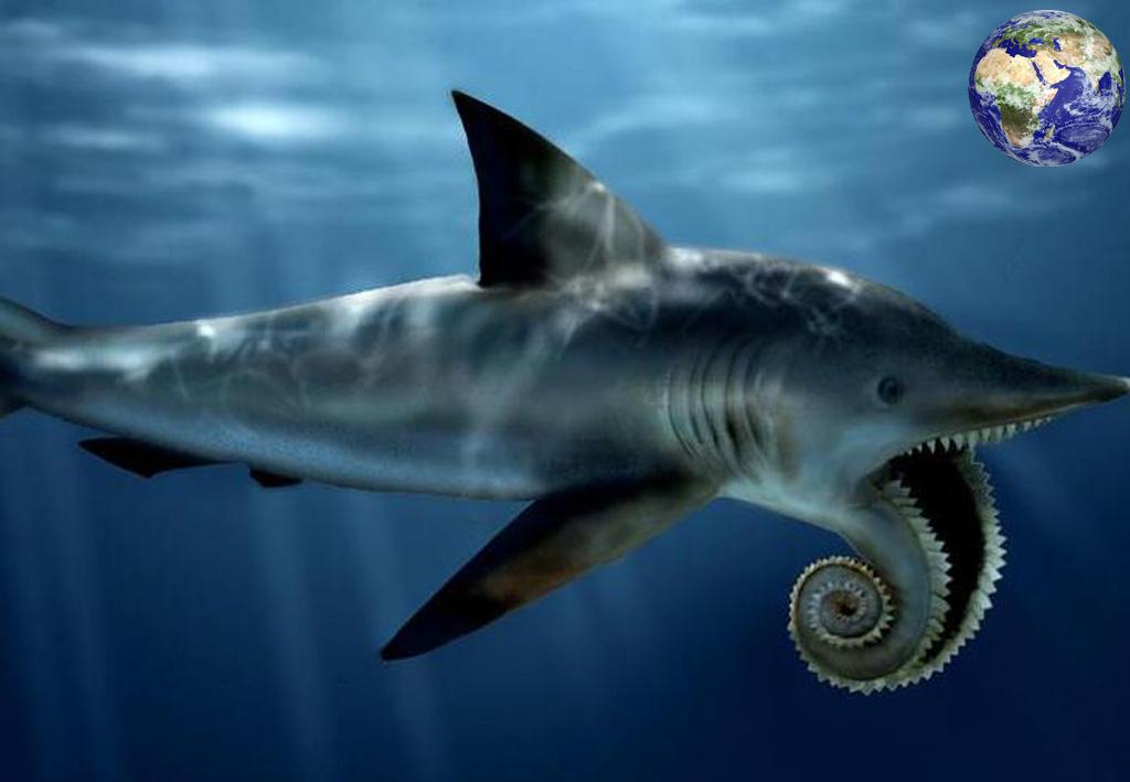 这种鲨鱼的嘴里面长着电锯,每次捕食都是电锯惊魂