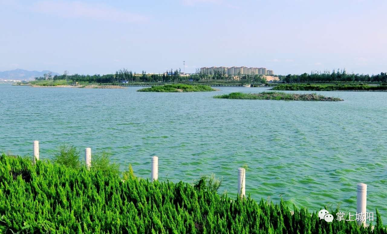 白沙河是青岛的一条生态河水面如镜,鱼虾相嬉,水生物多样