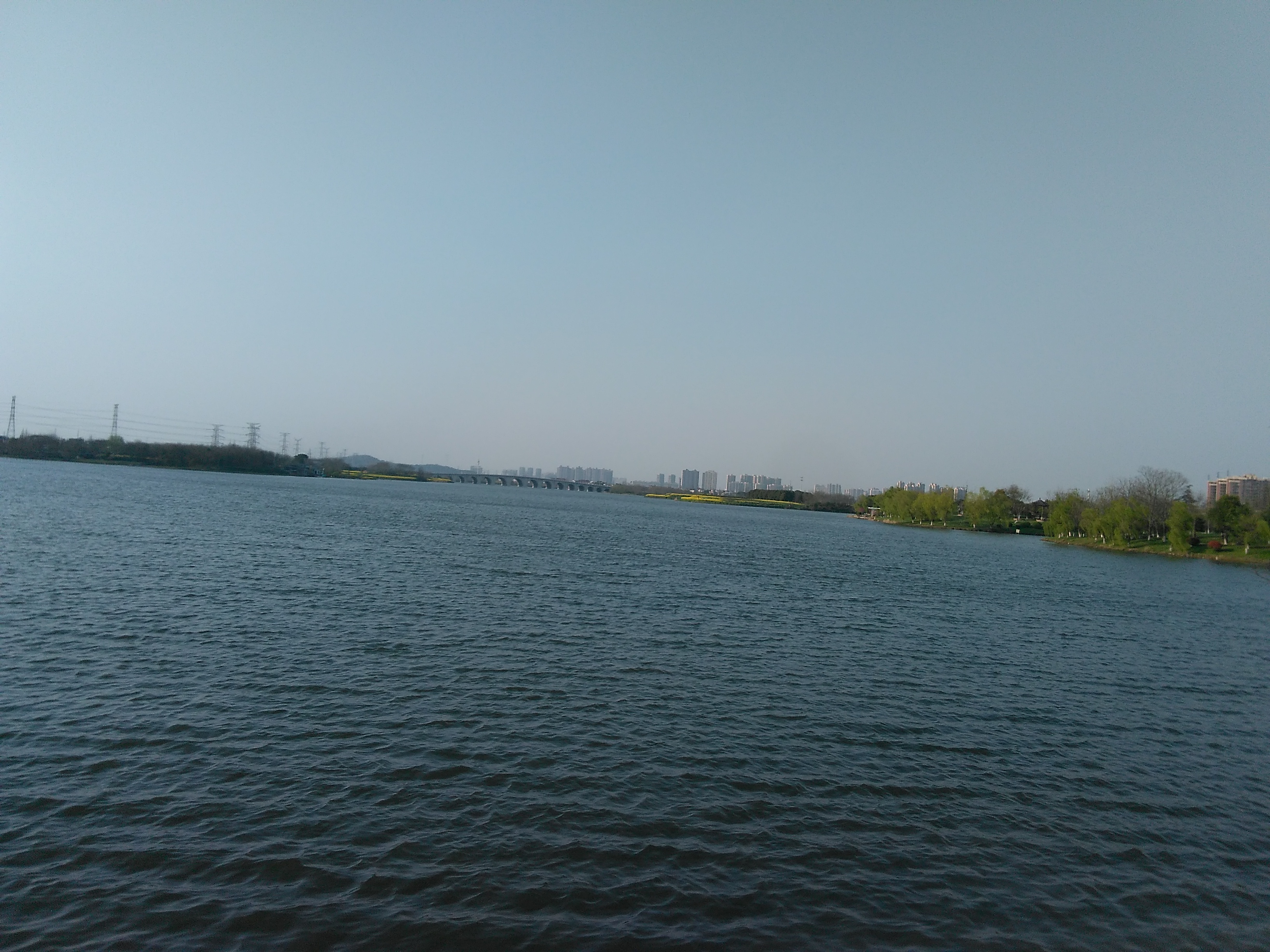 凤鸣湖湿地公园图片