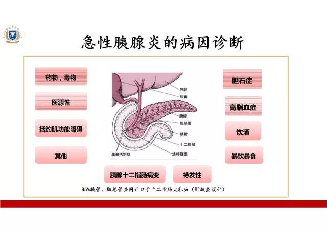 重症胰腺炎的抗感染治疗