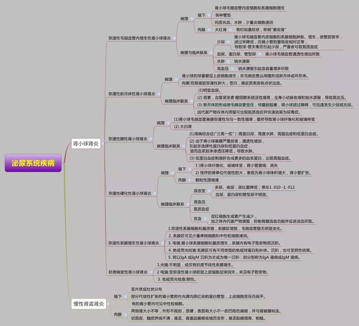 醫學思維導圖全套完整打印版病理學