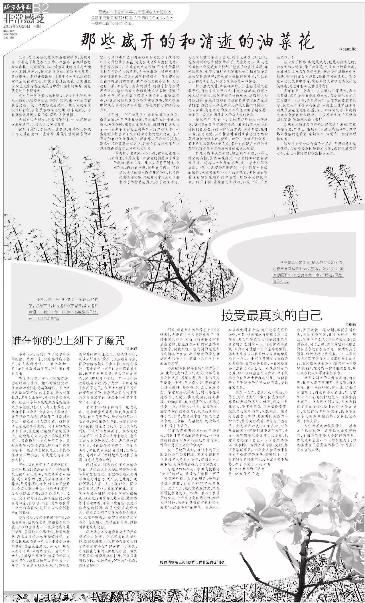 副刊版面图片