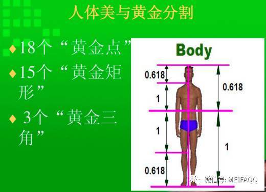 发挥出自身潜能的每一个灵感受,让我们也可以创作出黄金分割比例的