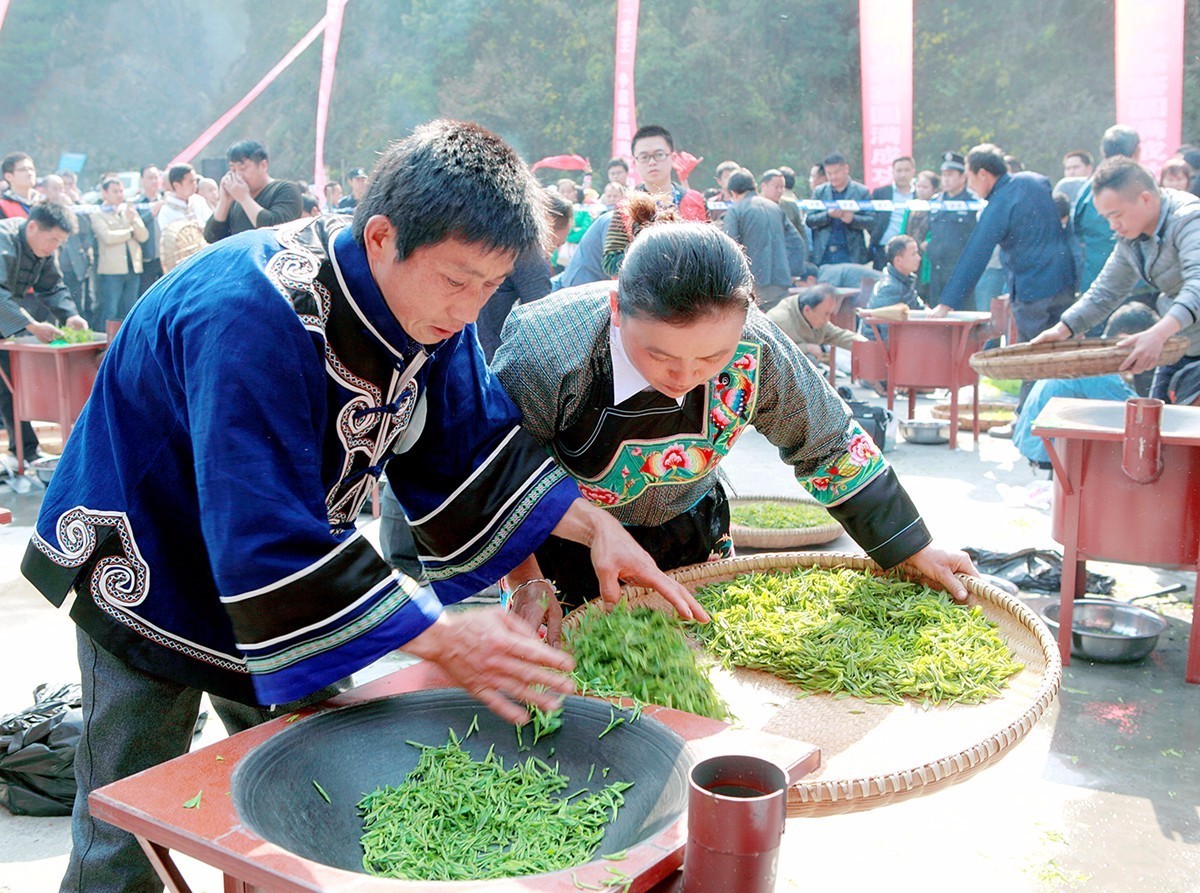 本期手工炒茶比赛现场传统手工炒茶比赛本期精彩看点01品保靖黄借茶