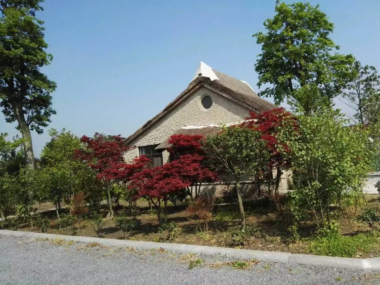 全国最美乡村百强示范村—如皋市城北街道平园村