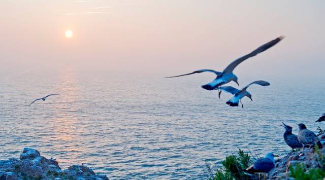 再美的極致風景,都不及威海這一座海島!