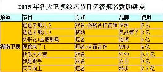 冠名费，冠名发票票样图片