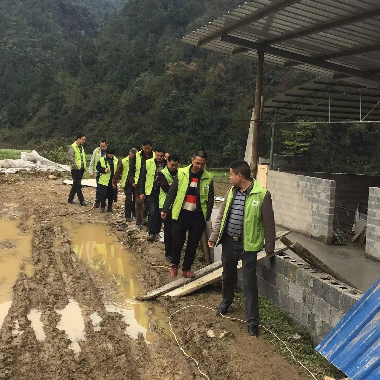 绥阳旺草车祸图片