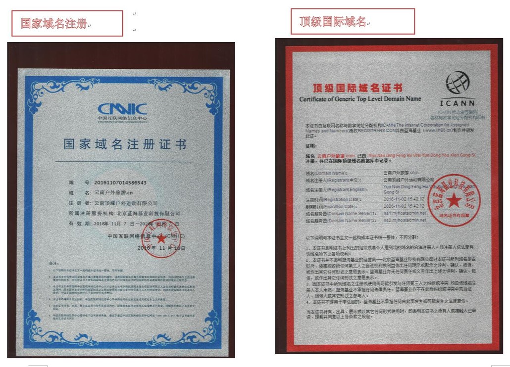 国际域名注册证书图片