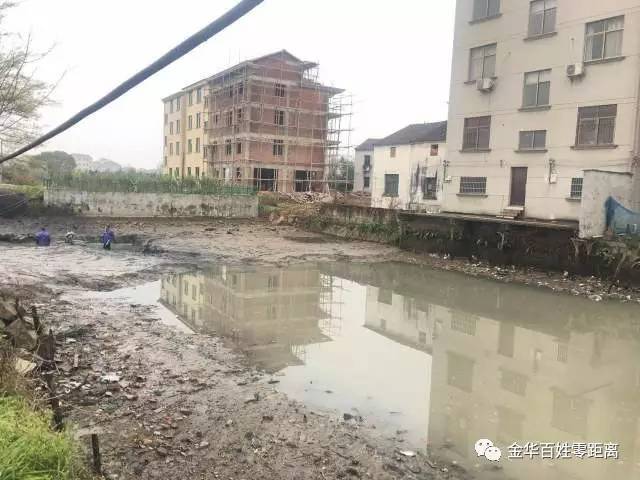 关注我市强力推进剿灭劣v类水行动各地同时行动起来在婺城区竹马乡