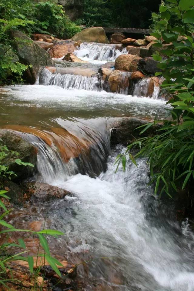 古松巍峨,道旁绿树对峙,溪涧蜿蜒,水流湍急,形成无数的跌瀑,旋涡和深