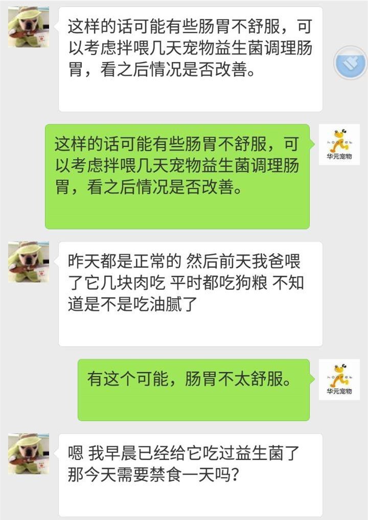 【来问】狗狗怀着孕拉果冻状的大便,有点慌!