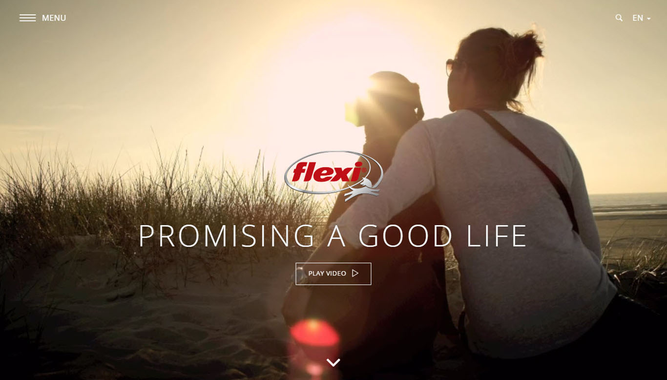 "promising a good life"flexi官网