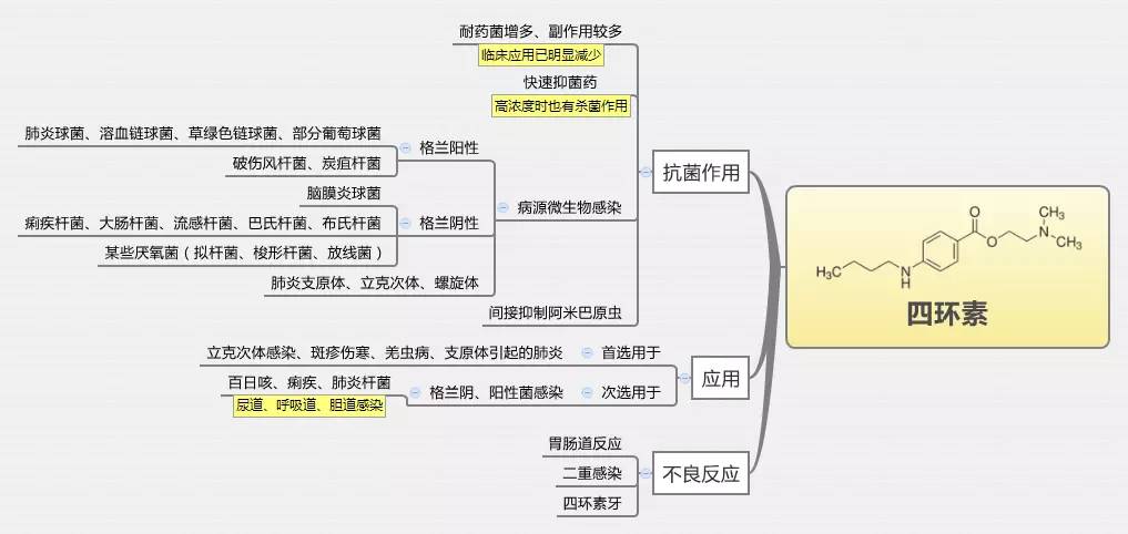 药理学思维导图医学生必看