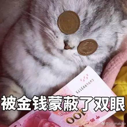 我不管,朕就是被金钱蒙蔽了双眼!