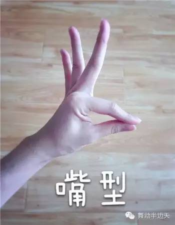 也经常被称作准备手↓孔雀舞的手型有七种,一定要牢记:曲掌,爪形,嘴形