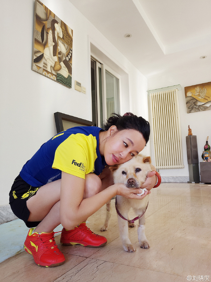 张梓琳养了只粉丝20万的网红狗每年过生日网友都好羡慕