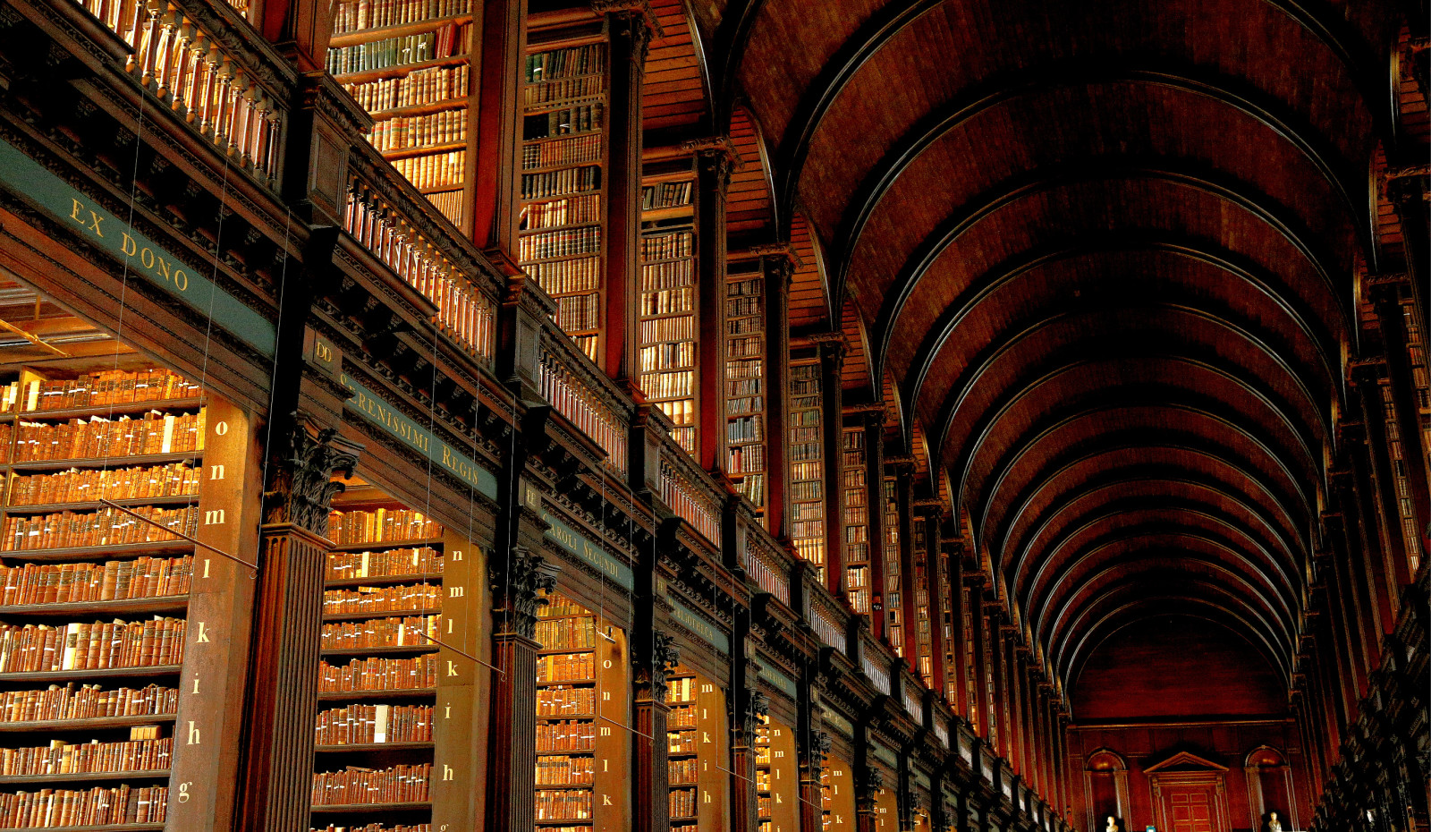 带着魔幻般感觉的爱尔兰圣三一学院图书馆
