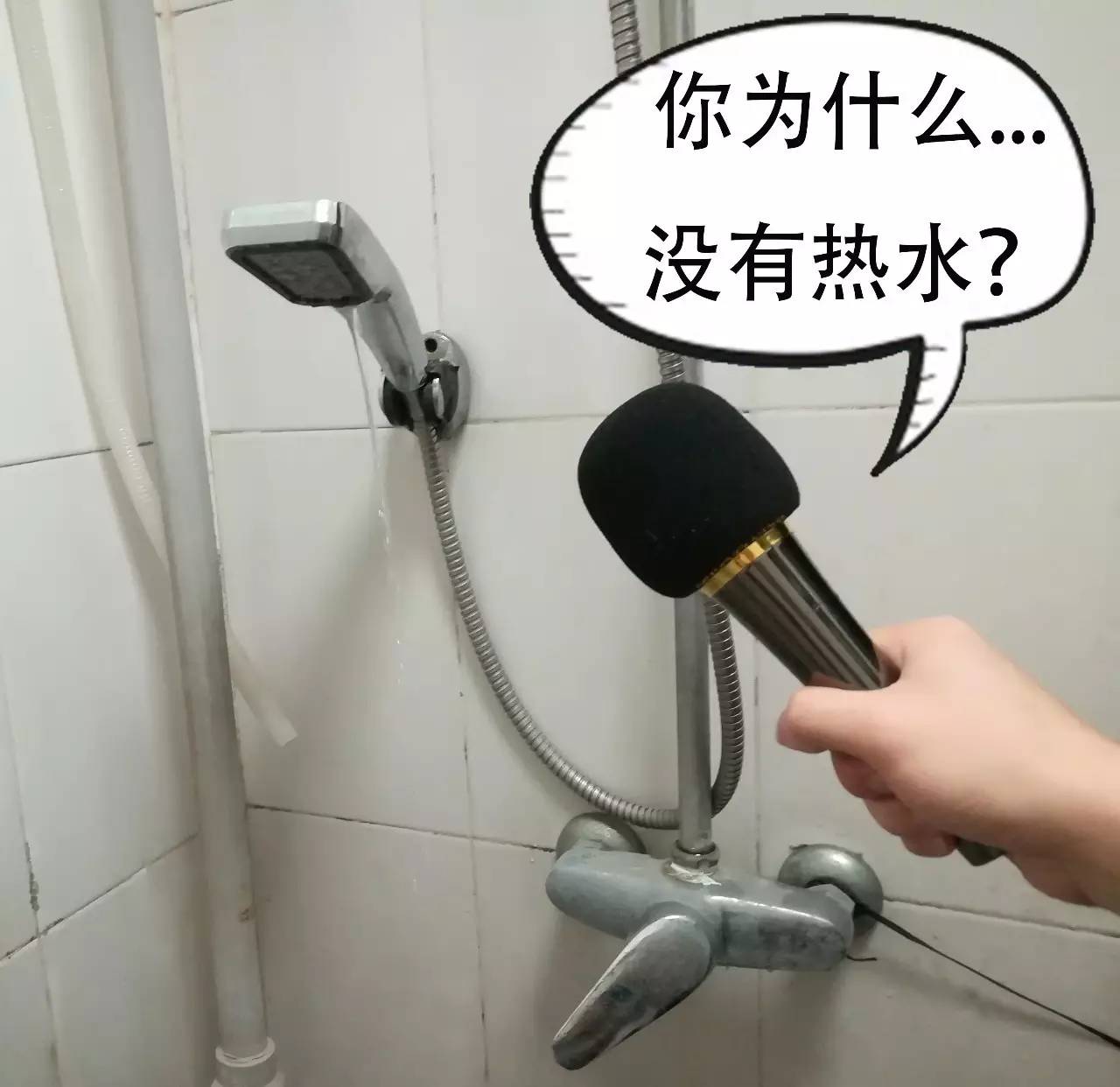 嘿撩撩螺表情图片