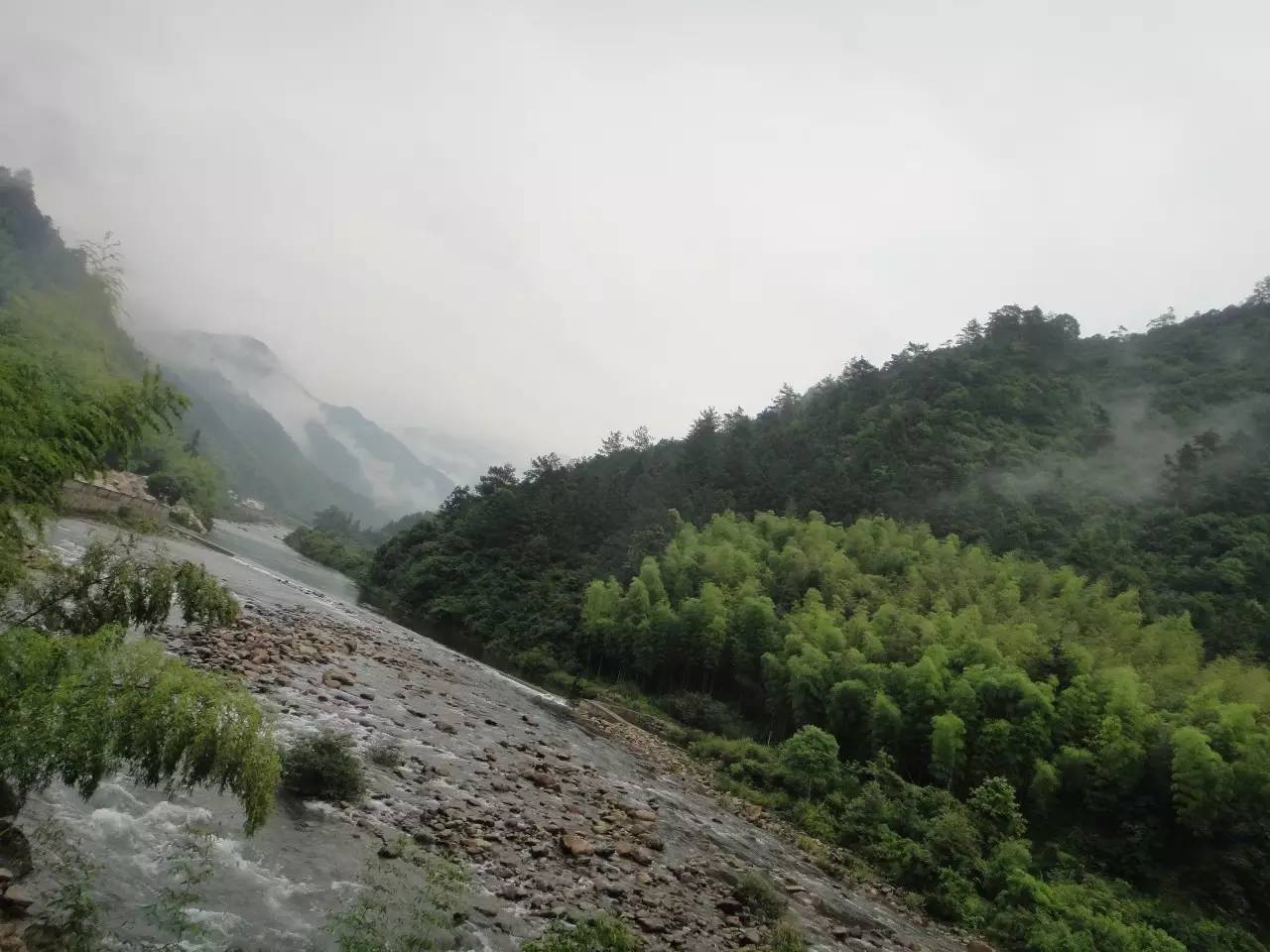 在清清的茶汤与迷蒙的山岚中体验风的召唤