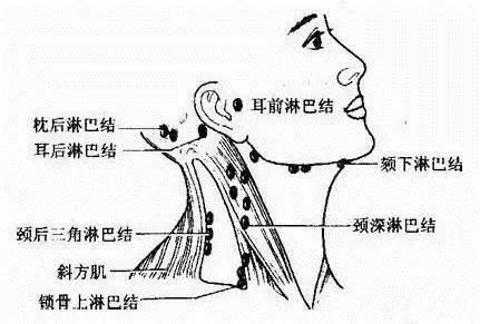 三处淋巴