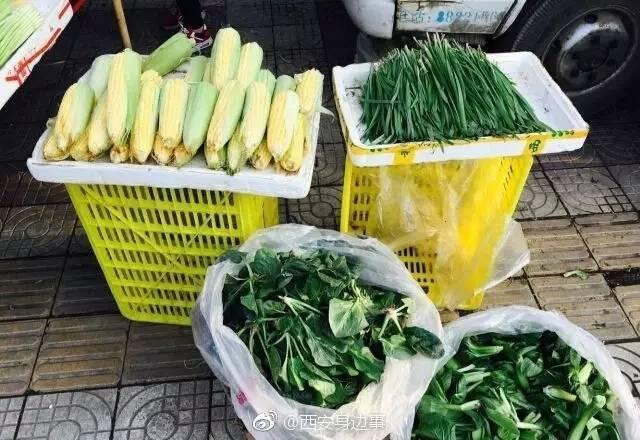 為給孩子在西安買套房 河南夫婦擺攤賣菜一干三年