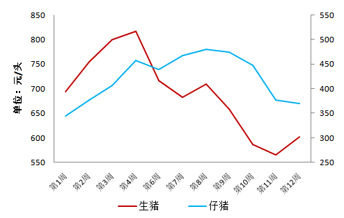 这受助于生猪价格的高企加上原料中玉米价格的下降,成本降低养殖利润