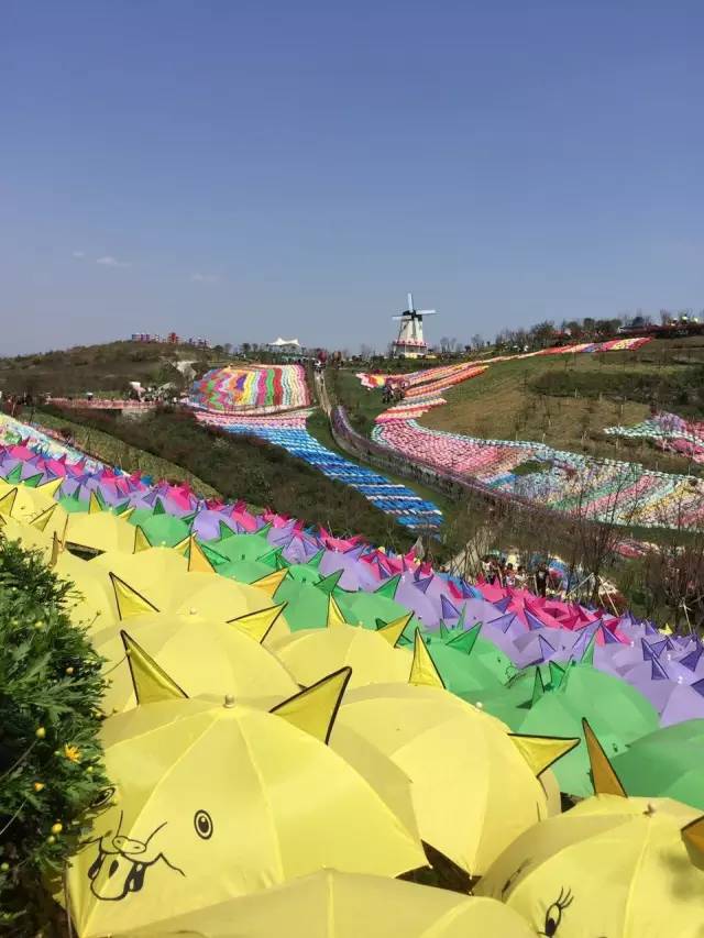 遵义漫花谷七彩洋伞节火爆场面抢先看