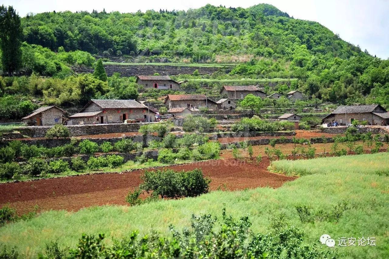 宜昌城郊休閒旅遊第一村官莊村,寬闊的鄉村馬路,整潔的農家新居