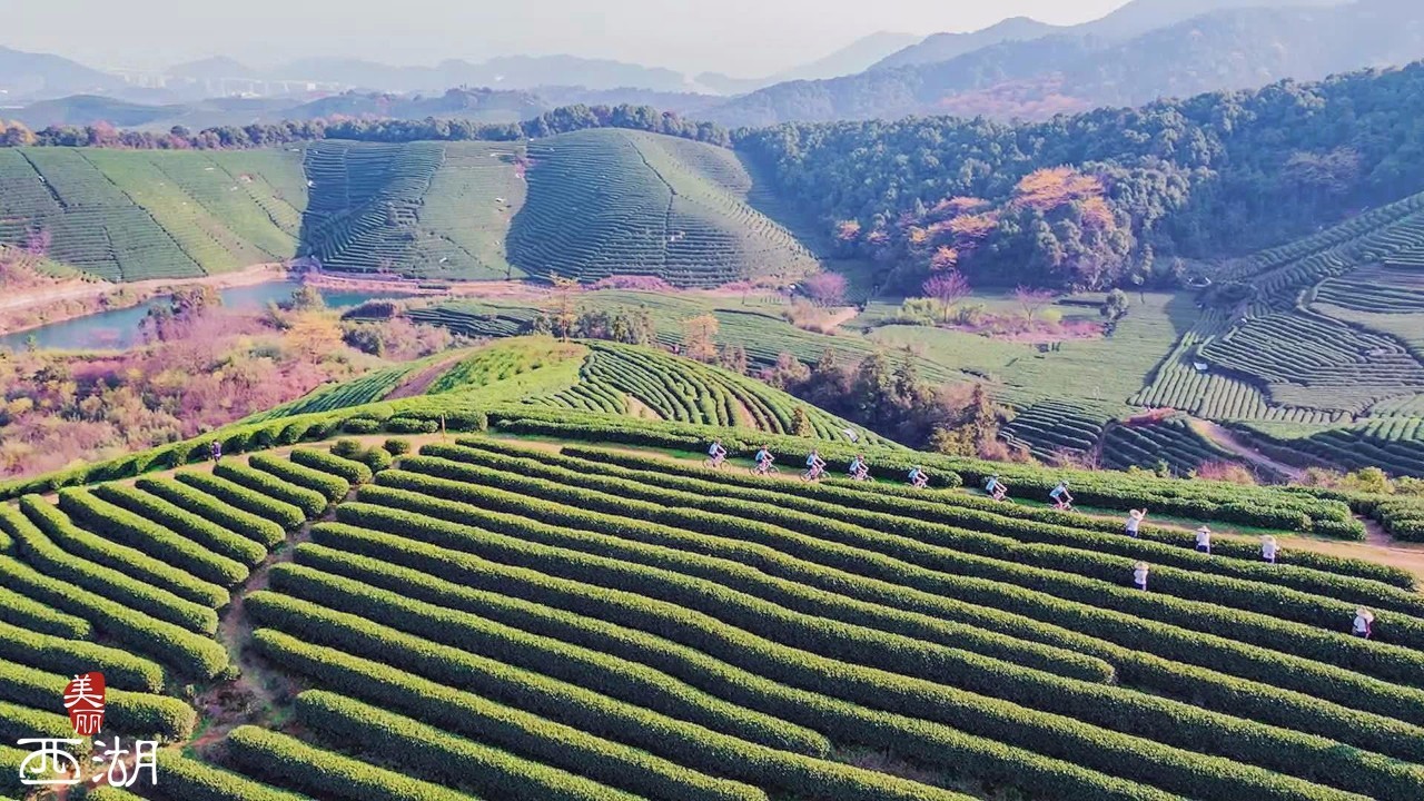 龙坞茶镇,变身最美中国小镇本次开茶节所在地西湖区龙坞茶镇位于杭州