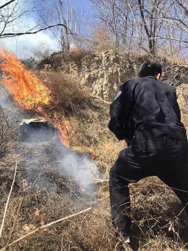 莱山凤凰山着火图片