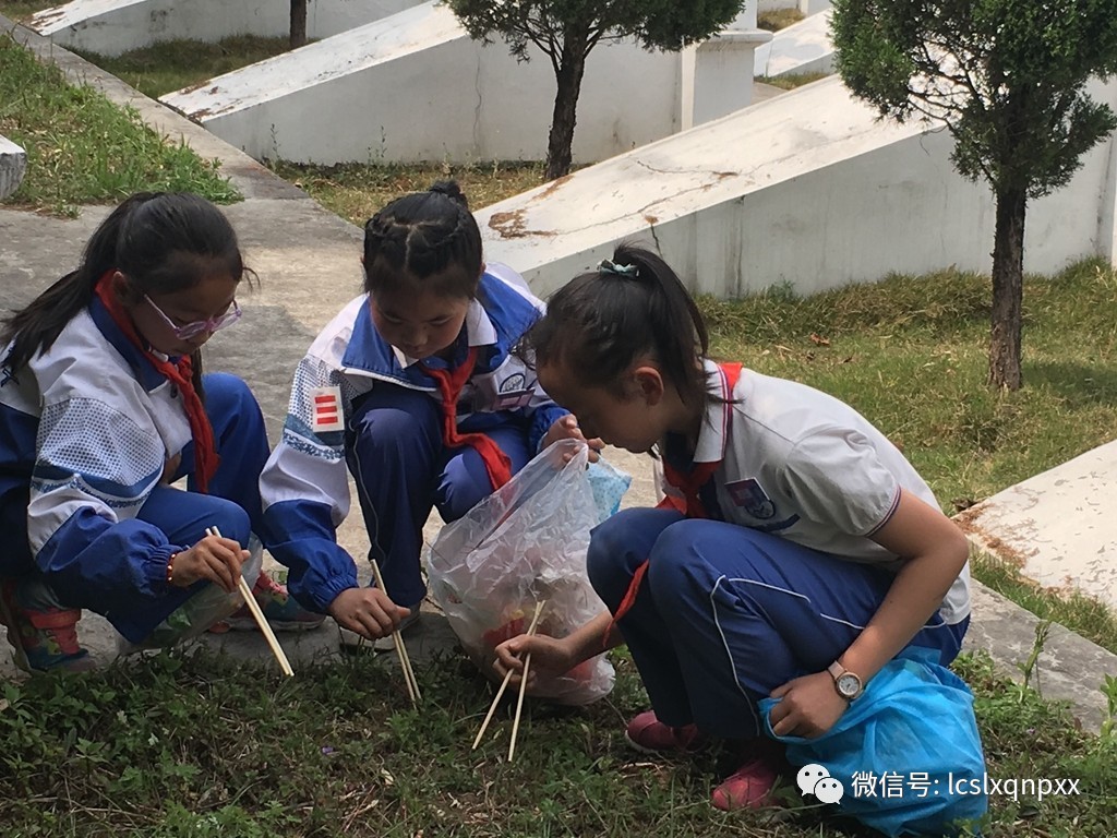 临沧南屏小学图片