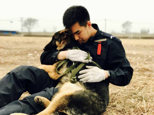 天天说警犬,你们了解警校的警犬技术专业吗?