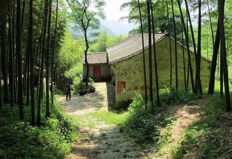 清明踏春 | 4.4徒步上青古道,尋找蘭若寺