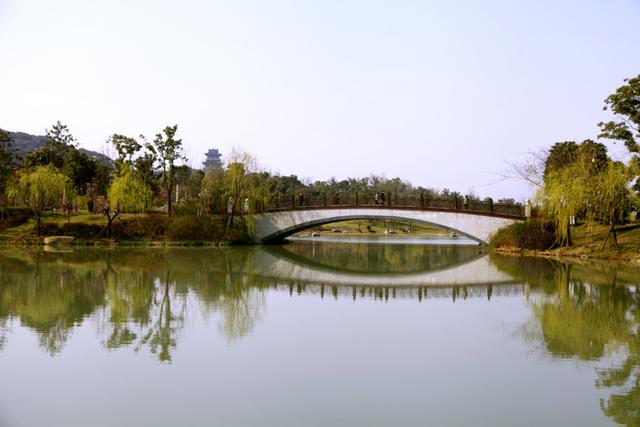 锡山凤凰山湿地公园图片