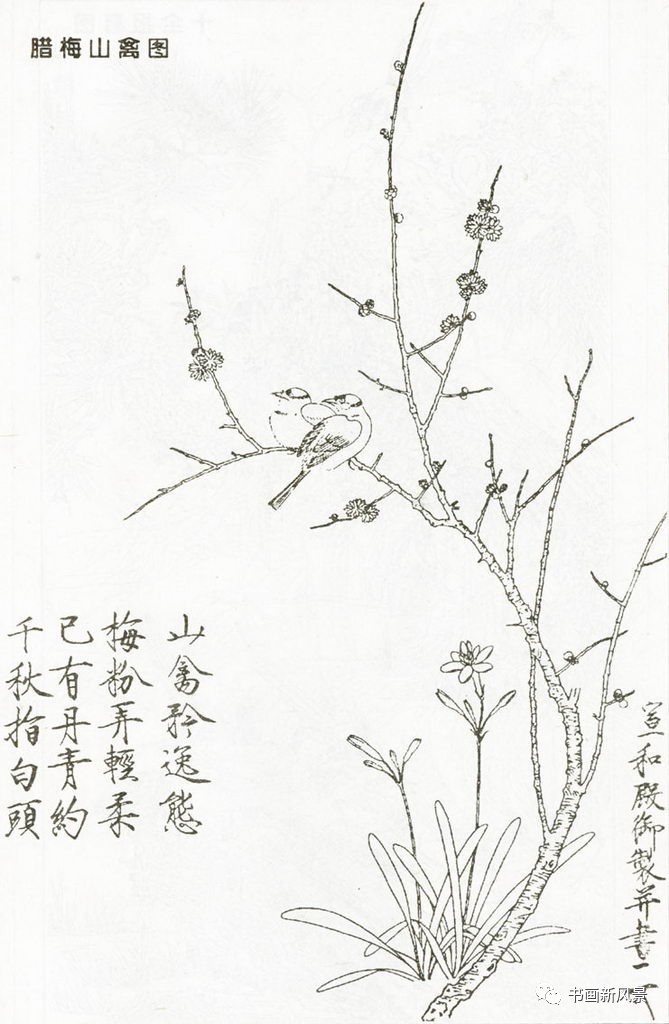 宋代花鸟经典白描画稿极品收藏