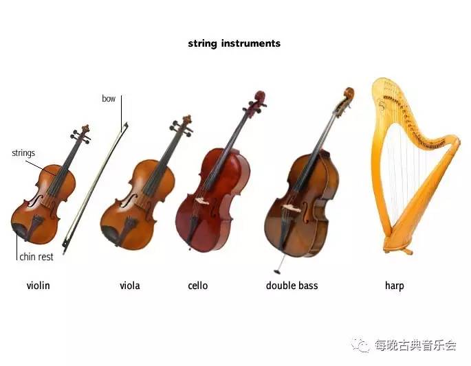 您知道中提琴比小提琴大多少吗?