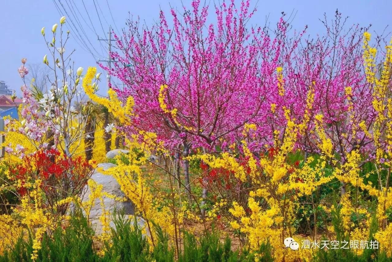 蒺藜沟图片